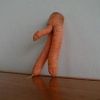 Carrot
