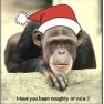 Christmas11