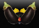 Fruits01