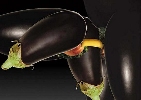 Fruits02