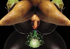 Fruits03