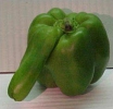 Paprika